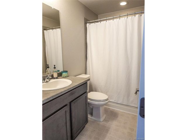 1637 Stoll Dr, Windsor, CO 80550