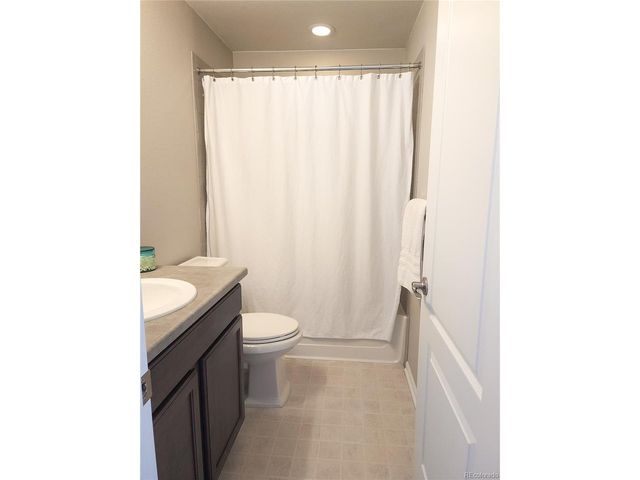 1637 Stoll Dr, Windsor, CO 80550