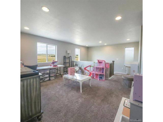 1637 Stoll Dr, Windsor, CO 80550