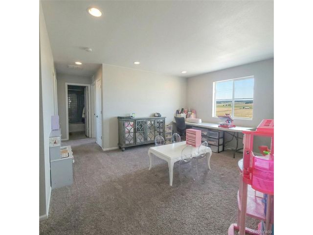 1637 Stoll Dr, Windsor, CO 80550