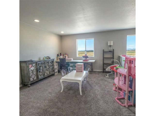 1637 Stoll Dr, Windsor, CO 80550