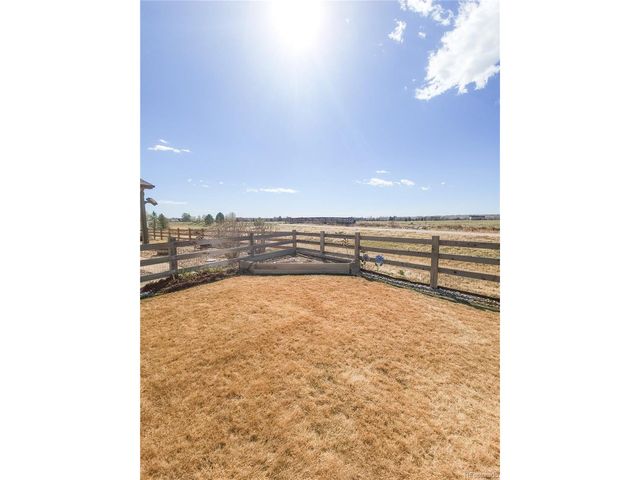 1637 Stoll Dr, Windsor, CO 80550