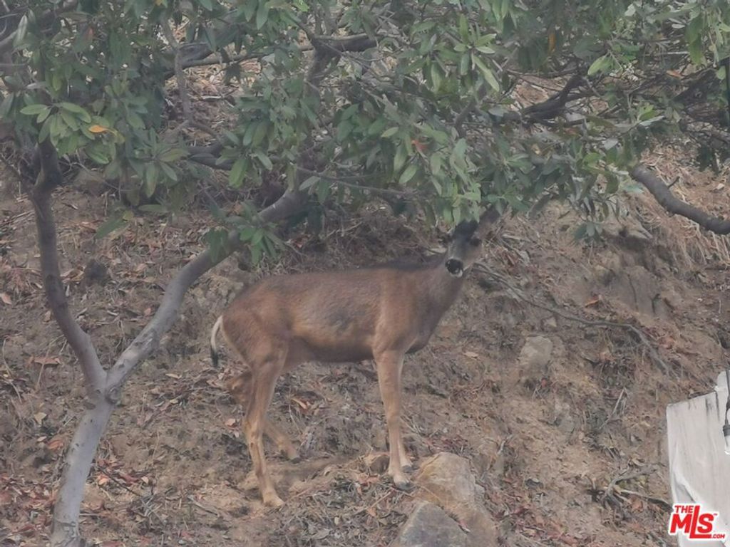 Image 66 of property listing at 10940 Terryview Drive, Studio City, CA 91604