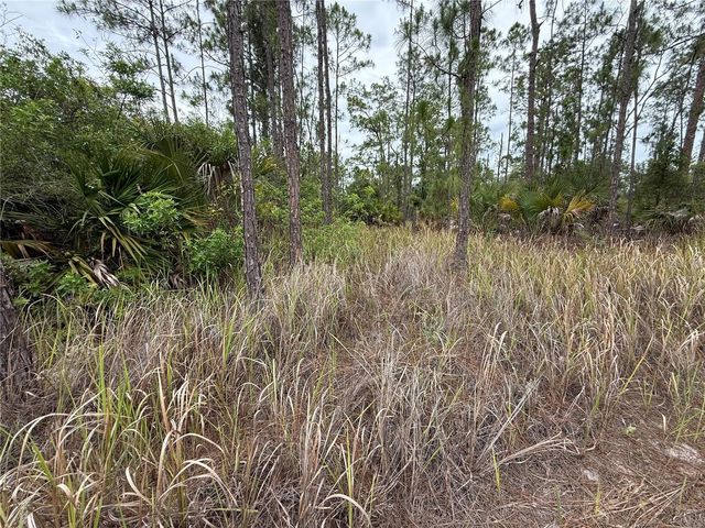 1106 W 13TH STREET, Lehigh Acres, FL 33972