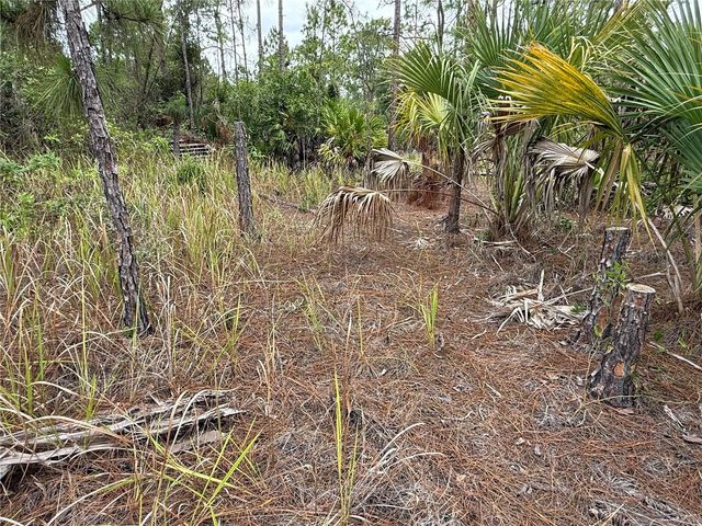 1106 W 13TH STREET, Lehigh Acres, FL 33972
