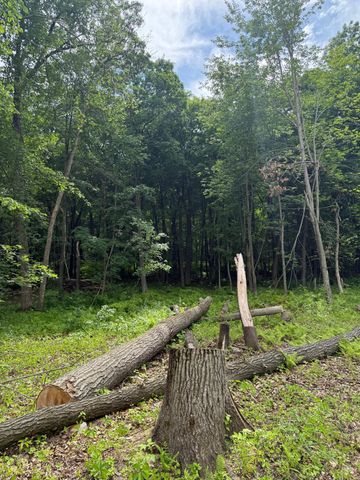 12216 Arcola Trail N, Stillwater, MN 55082