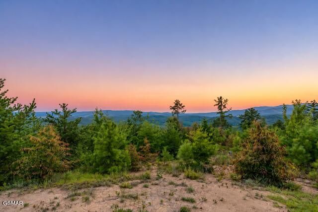 1981 Fox View Lane, Sevierville, TN 37876