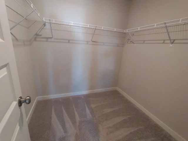 2147 Nectar Ln, Columbia, TN 38401