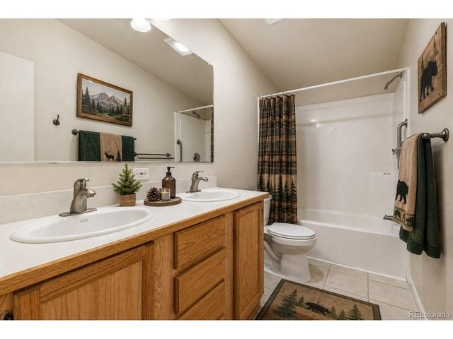 331 Rhyolite Ln, Florissant, CO 80816