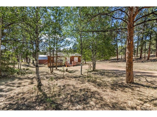 331 Rhyolite Ln, Florissant, CO 80816