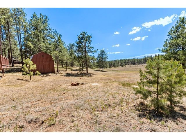 331 Rhyolite Ln, Florissant, CO 80816