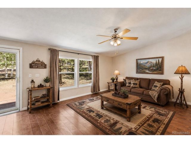 331 Rhyolite Ln, Florissant, CO 80816