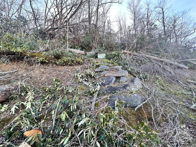0000 Balsam Drive 9, Newland, NC 28657