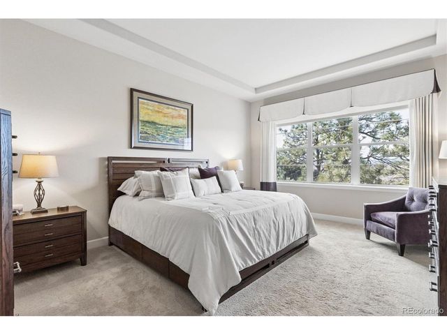 438 Galaxy Dr, Castle Rock, CO 80108