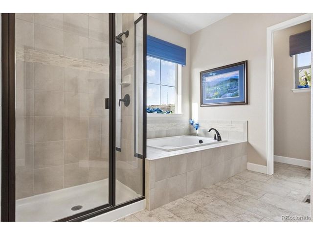 438 Galaxy Dr, Castle Rock, CO 80108