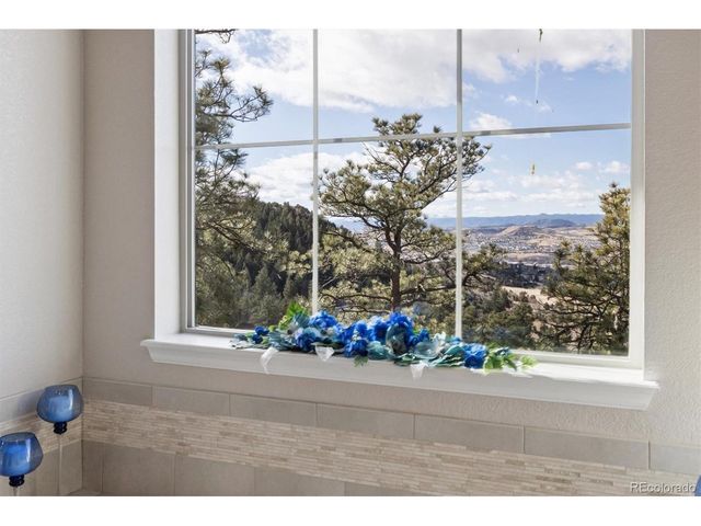 438 Galaxy Dr, Castle Rock, CO 80108