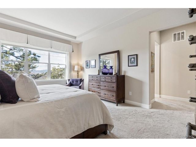 438 Galaxy Dr, Castle Rock, CO 80108