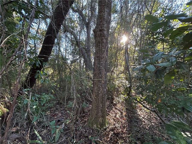 0 Bayou Shores Drive, Coden, AL 36523