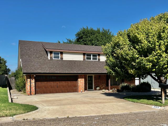 205 Houston Street, Borger, TX 79007