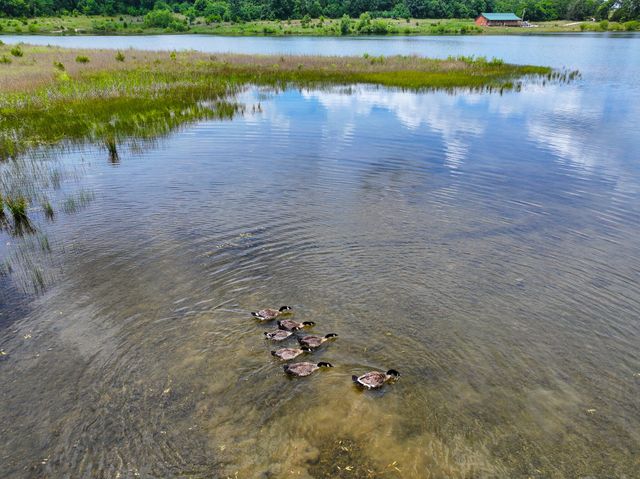 000 SE Highway 54, Collins, MO 64738