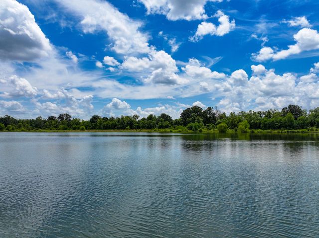 000 SE Highway 54, Collins, MO 64738