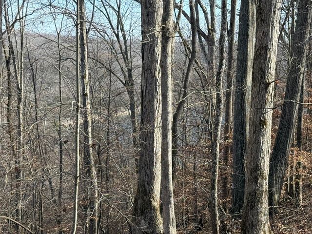 0 Mountain Harbor Drive, Sparta, TN 38583