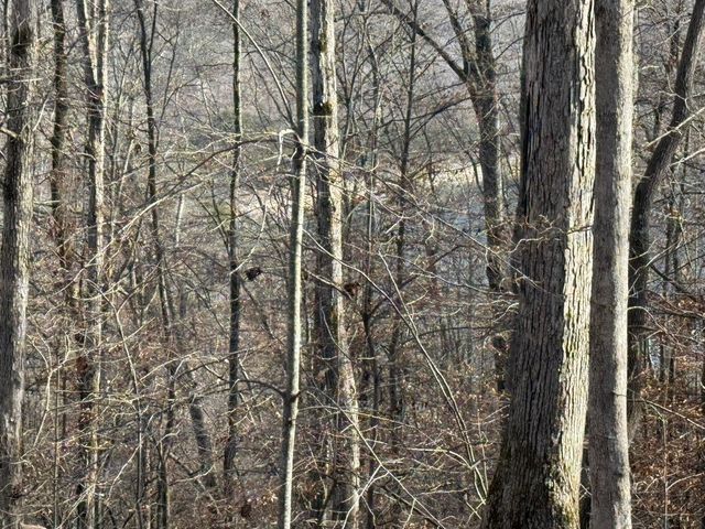 0 Mountain Harbor Drive, Sparta, TN 38583