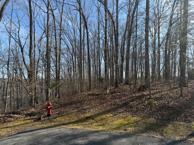0 Mountain Harbor Drive, Sparta, TN 38583