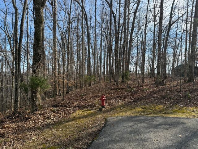 0 Mountain Harbor Drive, Sparta, TN 38583