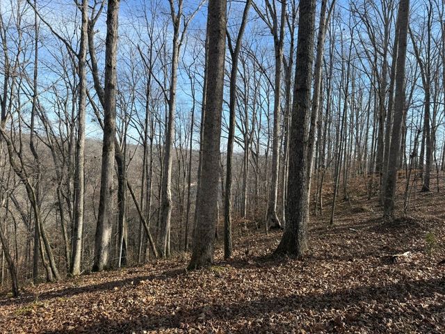 0 Mountain Harbor Drive, Sparta, TN 38583