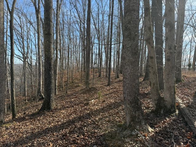 0 Mountain Harbor Drive, Sparta, TN 38583