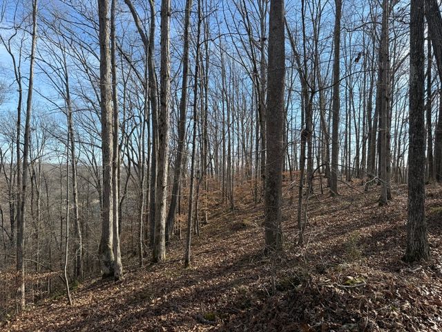0 Mountain Harbor Drive, Sparta, TN 38583