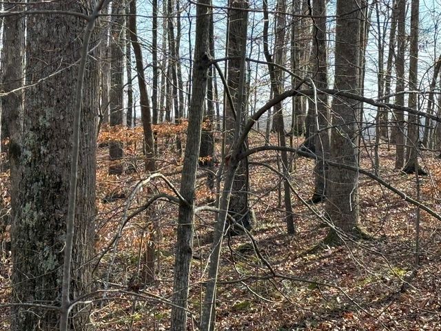0 Mountain Harbor Drive, Sparta, TN 38583