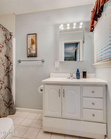 119 Dover Lane, Bristol, TN 37620