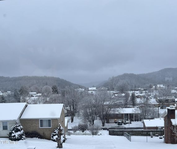 119 Dover Lane, Bristol, TN 37620