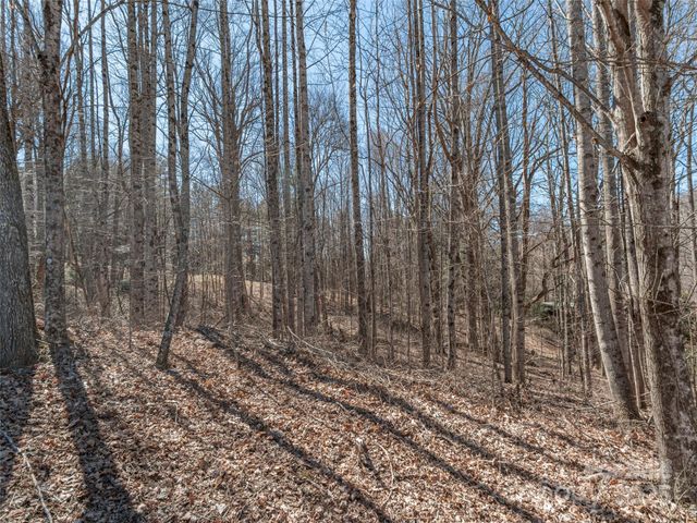 00 Sams Trail 27, Waynesville, NC 28786