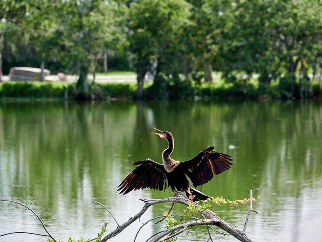 7919 LIMESTONE LANE 13-204, Sarasota, FL 34233