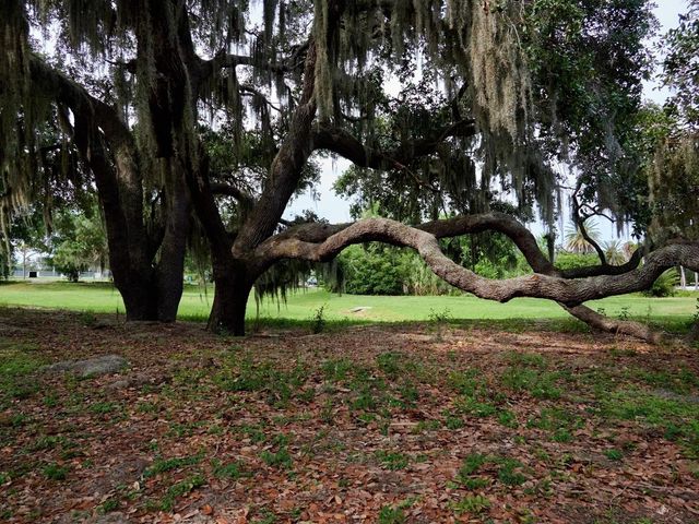 7919 LIMESTONE LANE 13-204, Sarasota, FL 34233