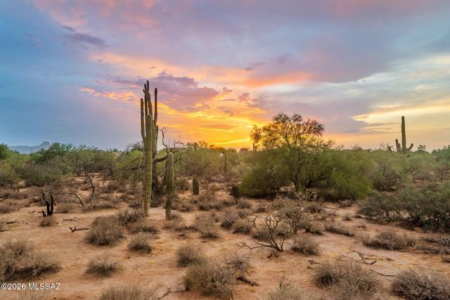 8633 N Egrets Rest Lane, Tucson, AZ 85742