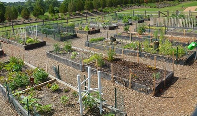 2500 King Arthur Boulevard 306, Lewisville, TX 75056