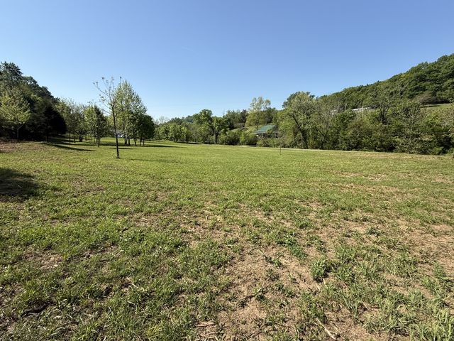 0 Rogues Fork Rd, Bethpage, TN 37022