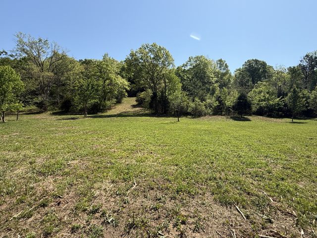 0 Rogues Fork Rd, Bethpage, TN 37022