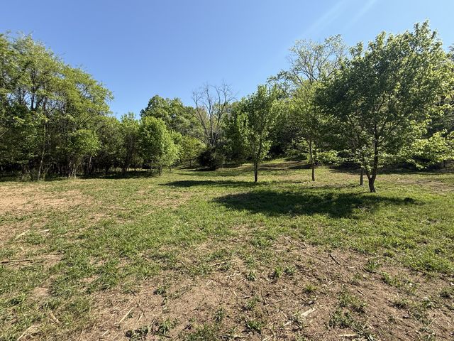 0 Rogues Fork Rd, Bethpage, TN 37022