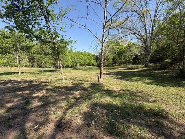 0 Rogues Fork Rd, Bethpage, TN 37022