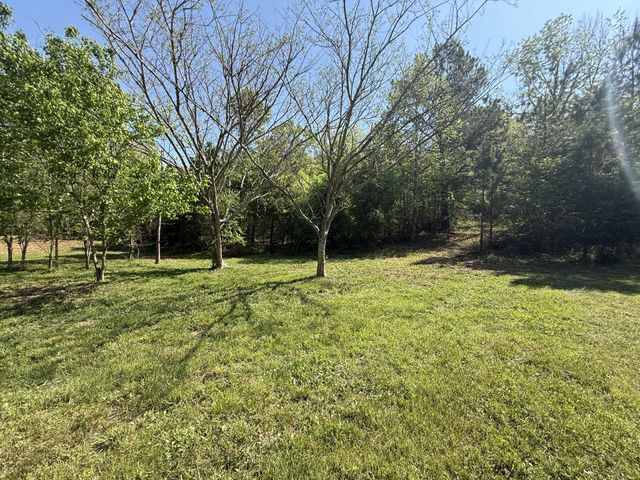 0 Rogues Fork Rd, Bethpage, TN 37022