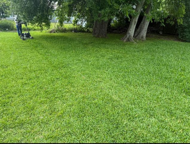 1409 Bringhurst Street, Houston, TX 77020