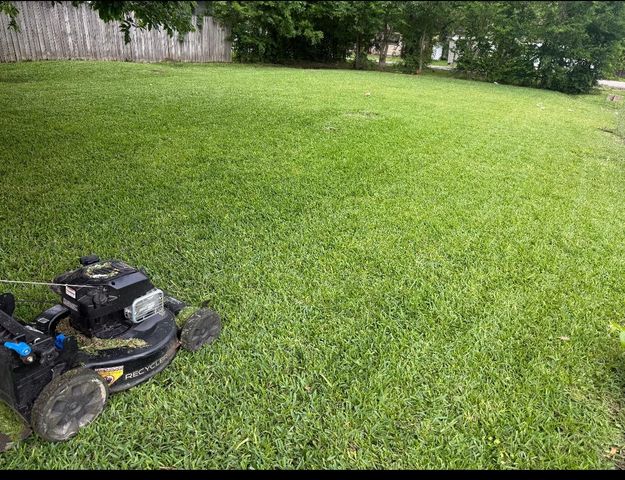 1409 Bringhurst Street, Houston, TX 77020