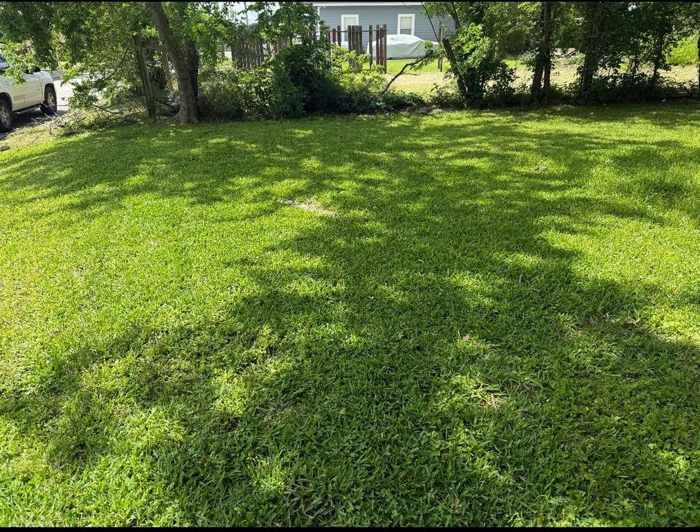1409 Bringhurst Street, Houston, TX 77020