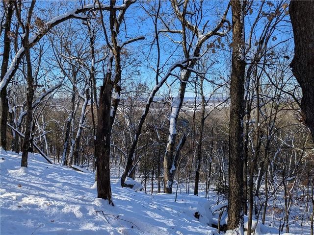 Pine Tree, Prairie Grove, AR 72758
