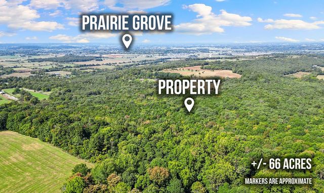 Pine Tree, Prairie Grove, AR 72758